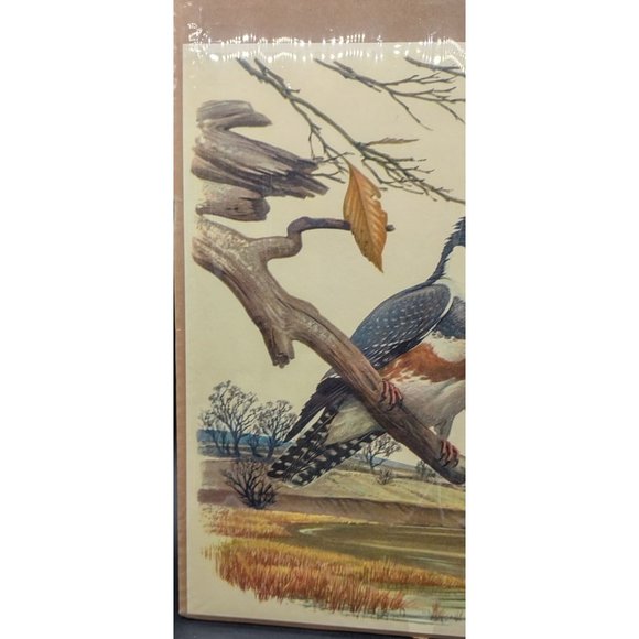 Peterson Print Kingfisher 11 Wide by 12.5 High Inches - Picture 6 of 8